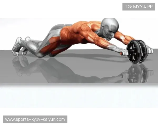 针对腰侧锻炼的健身器材类型及使用技巧 针对腰侧锻炼的健身器材类型及使用技巧